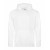 Arctic White * 
