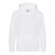 Arctic White 
